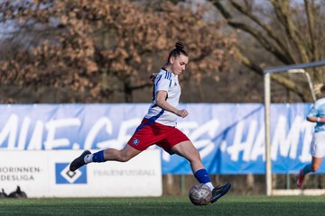 Bild 322 - F Hamburger SV 3 - Blau-Weiss 96 : Ergebnis: 5:1